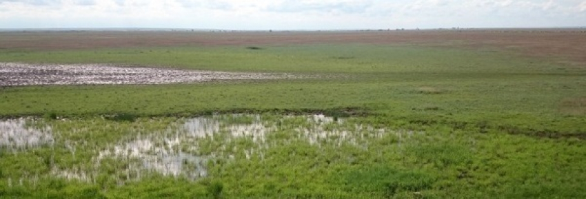 Экологической катастрофой в Светлом Яре занялась Генпрокуратура