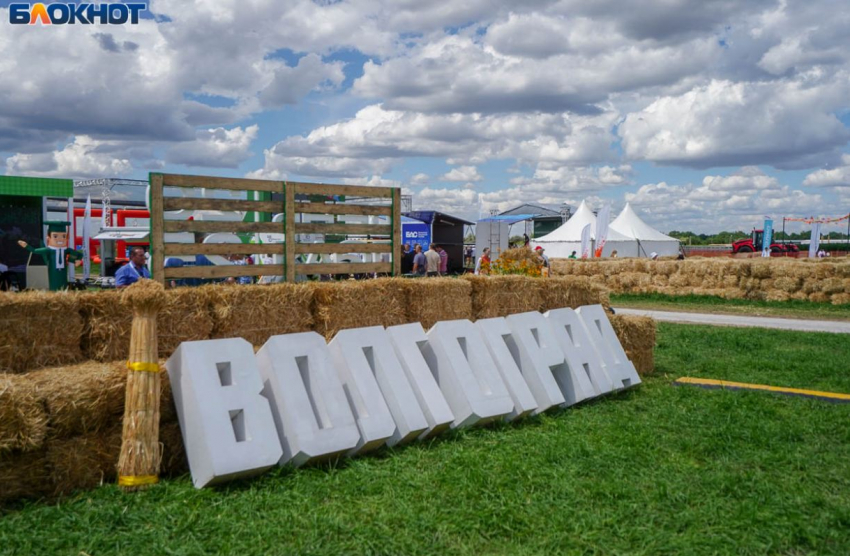 Неожиданные плюсы Волгограда выясняют у горожан