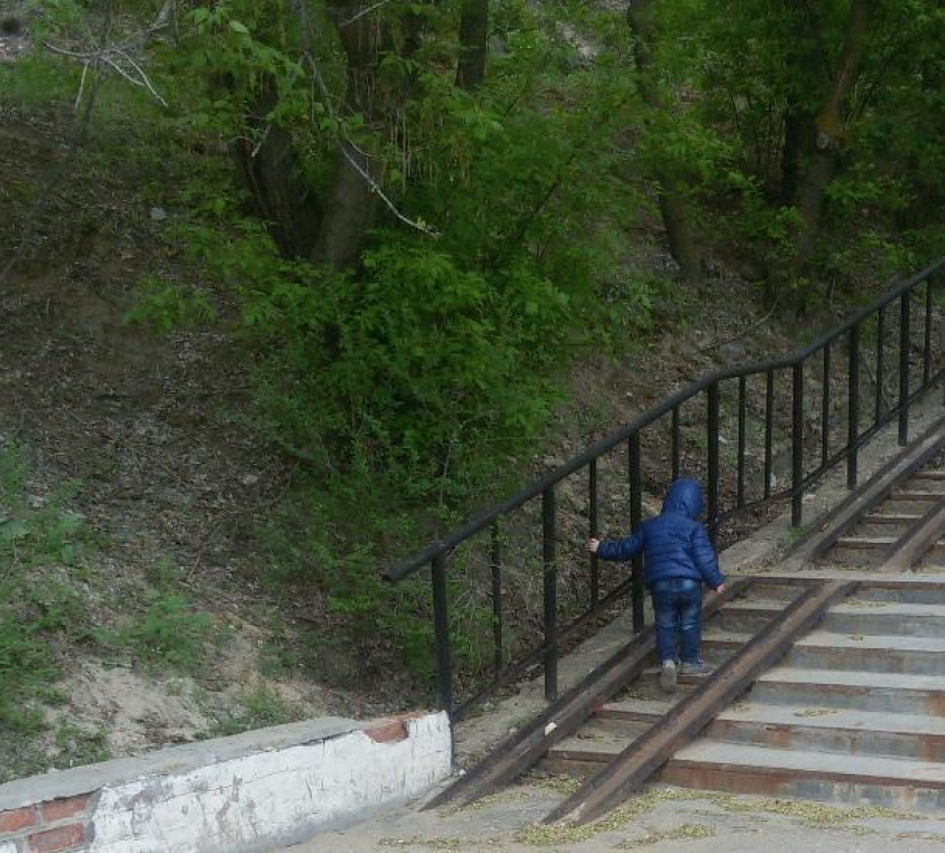 3-летний волгоградец сбежал от деда и гулял по городу