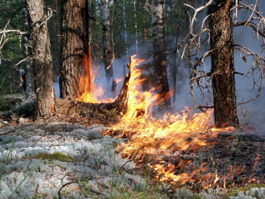 В Волгоградской области до конца октября объявлен пожароопасный сезон