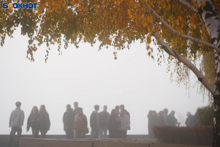 Объяснение удушающему смогу дали в Волгоградской области