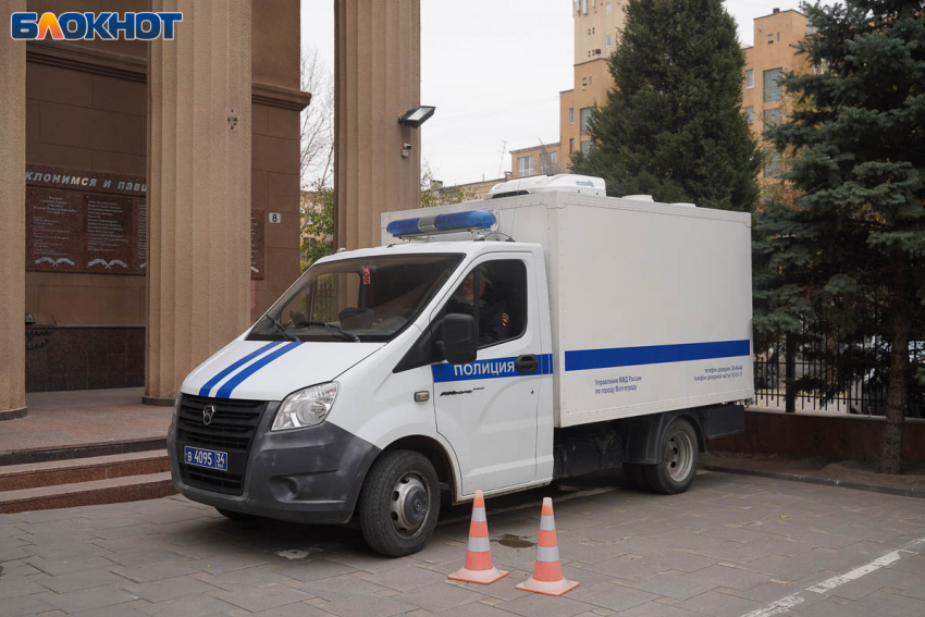Бастрыкин заинтересовался инцидентом с нападением волгоградца на школьников