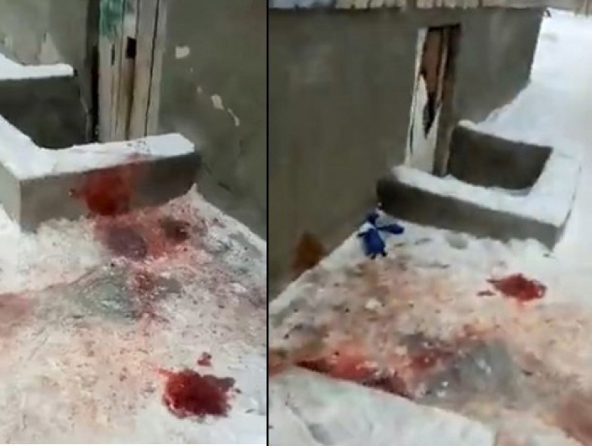 На видео попали следы кровавой бойни в новогоднюю ночь в Волжском