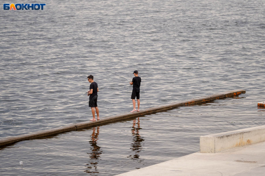 Холерный вибрион обнаружился в воде в Волгограде