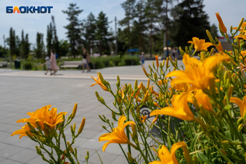 Нереализованные планы и набор веса: что ждет волгоградцев на новой неделе