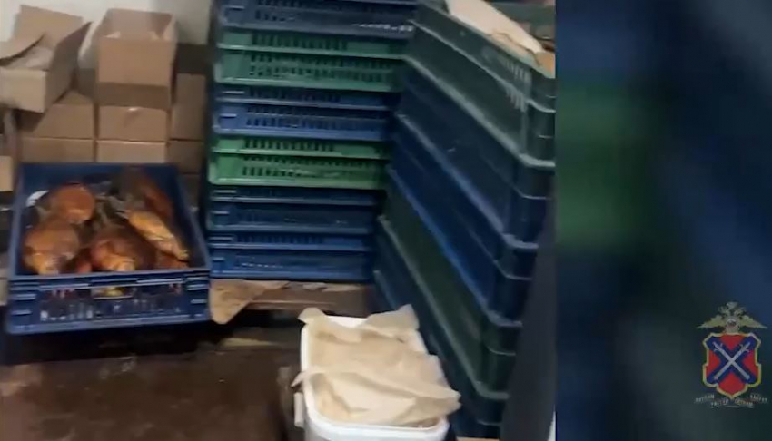 Подпольный цех с копченой и вяленой рыбой накрыли на севере Волгограда — изъято 12 тонн 