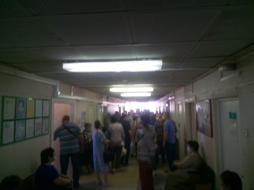 Вакцины от бешенства в Волгоградской области хватит на всех
