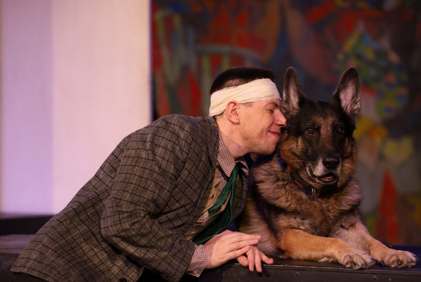 Артистичную собаку для работы в спектакле ищет волгоградский театр