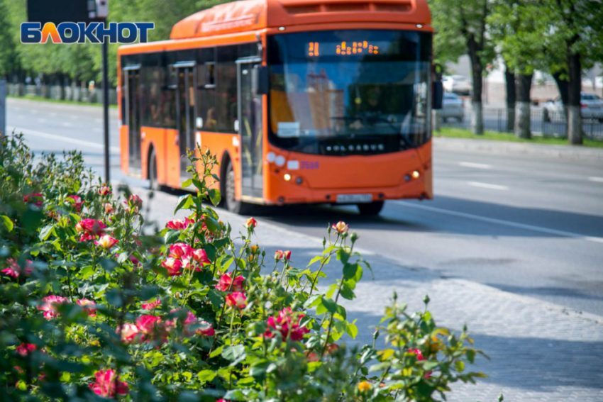 Популярный автобусный маршрут отменят к концу года в Волгограде