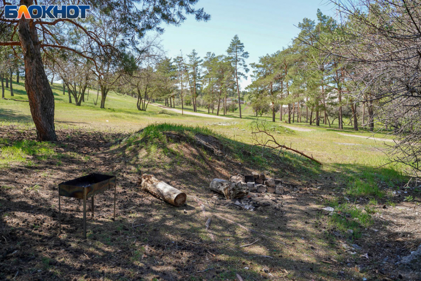 Волгоградцев оштрафовали на 260 тысяч рублей за прогулки по лесу 