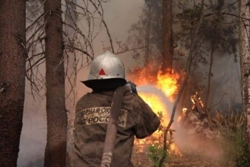 В Волгоградской области установили особо опасный пожарный период