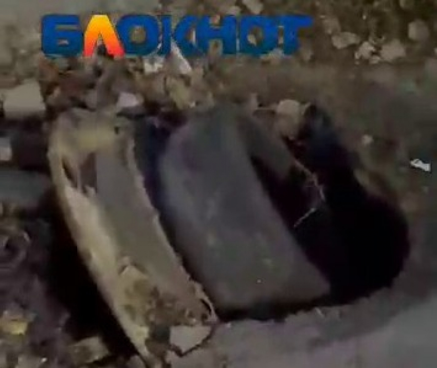 «Вонь на всю улицу, так еще и опасно»: вывернутый наизнанку ужас караулит школьников в Волгограде