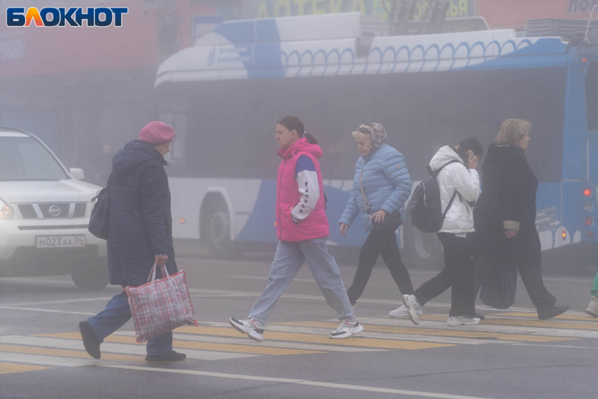 Тепло до +17 градусов порадует волгоградцев 2 ноября