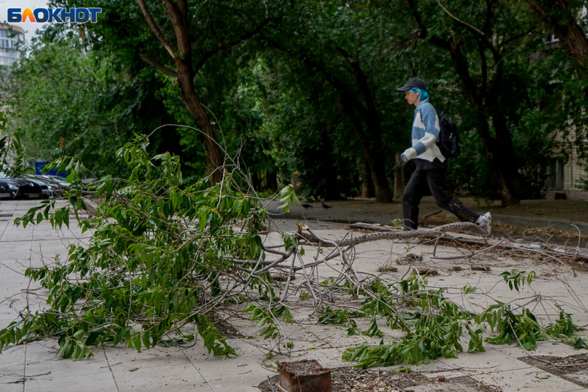 Предупреждение о шторме с градом продлили в Волгоградской области