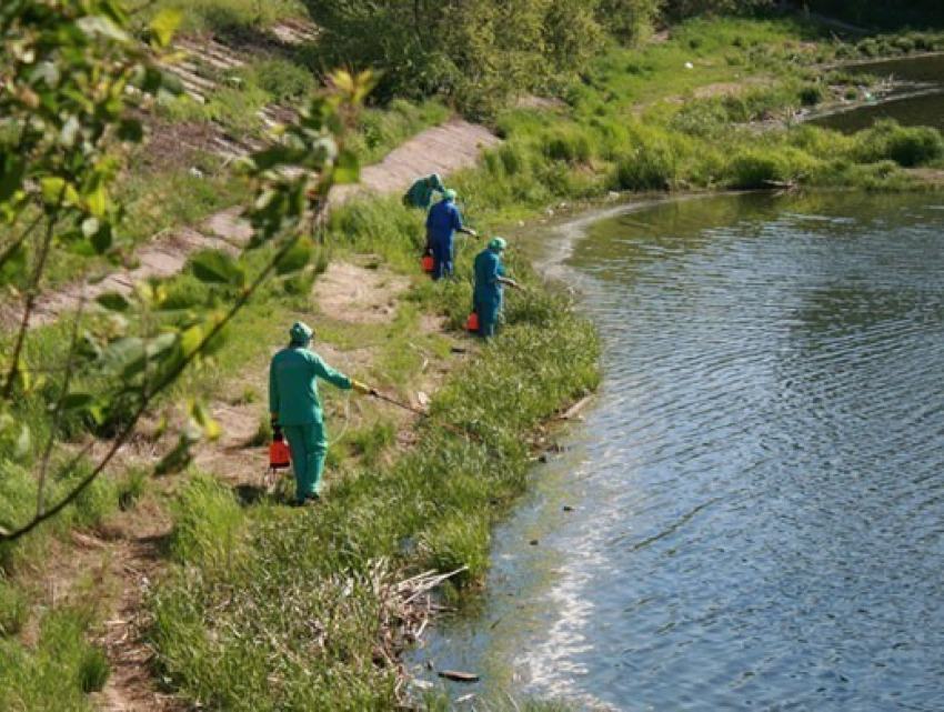 В Волгограде идет активная обработка водоемов против комаров