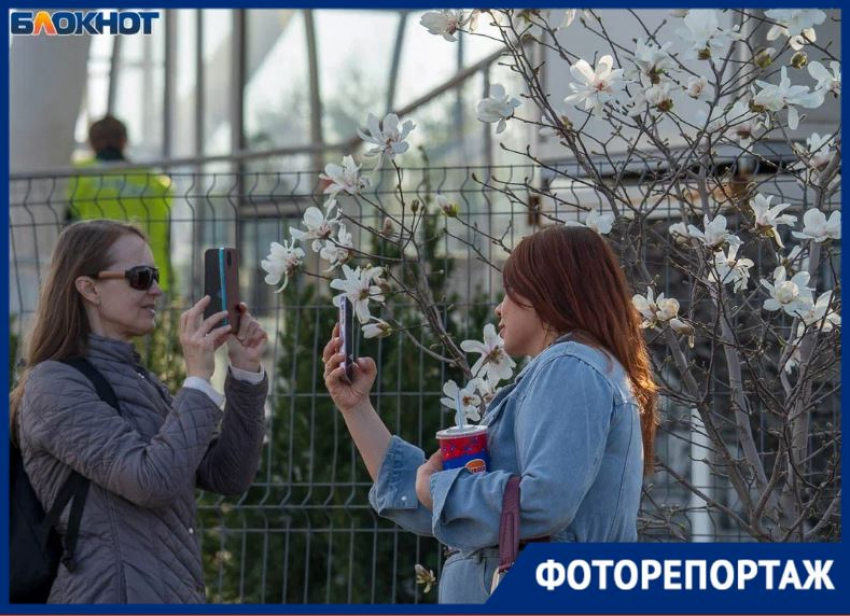 Йога, панды и летающие пони: как выглядит цветущий ЦПКиО в Волгограде 