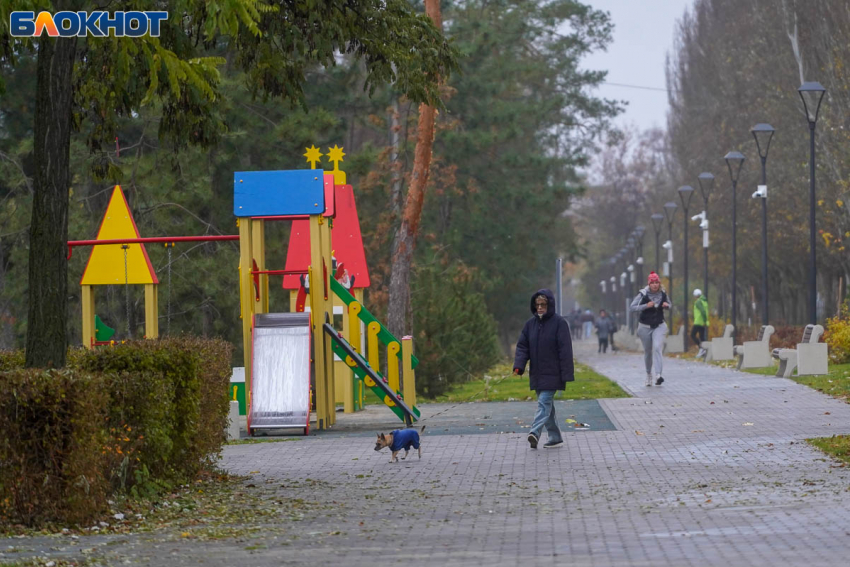 Пасмурно и высокое давление: что принесет волгоградцам последний день ноября