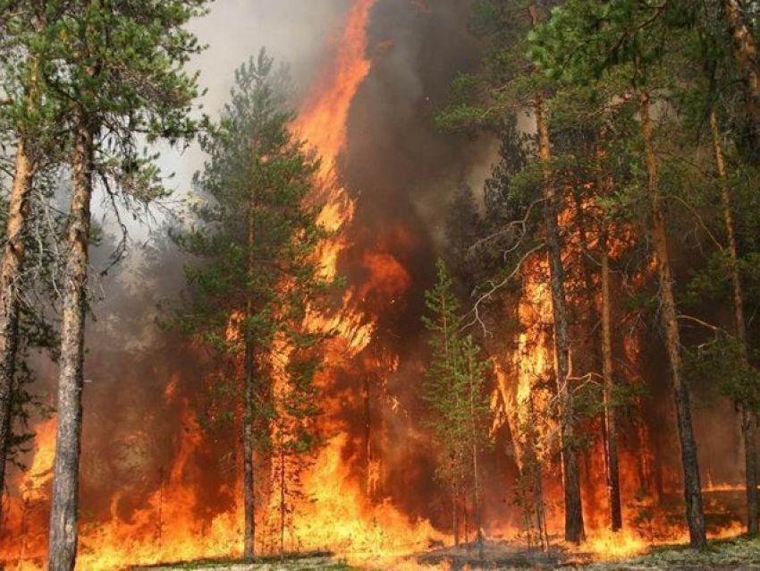 В Волгоградской области объявили штормовое предупреждение