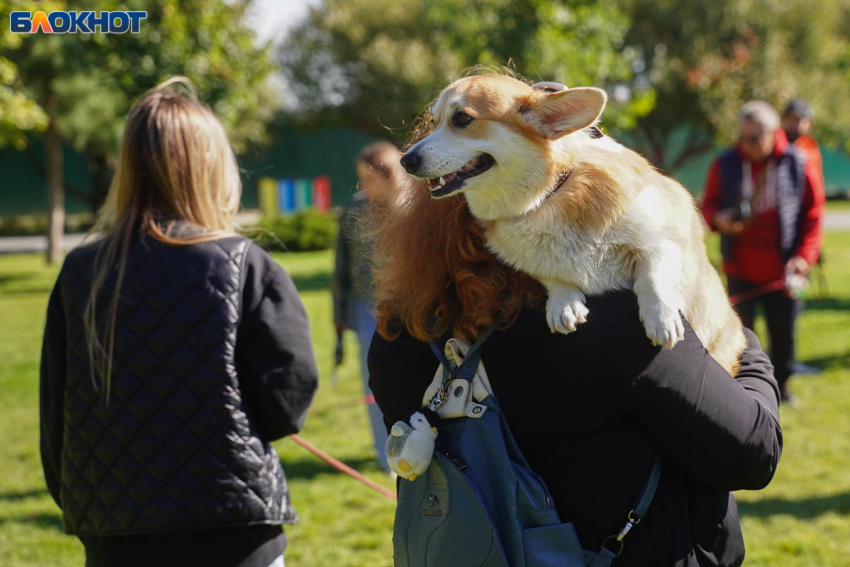 25 тыс безработных живет в Волгоградской области