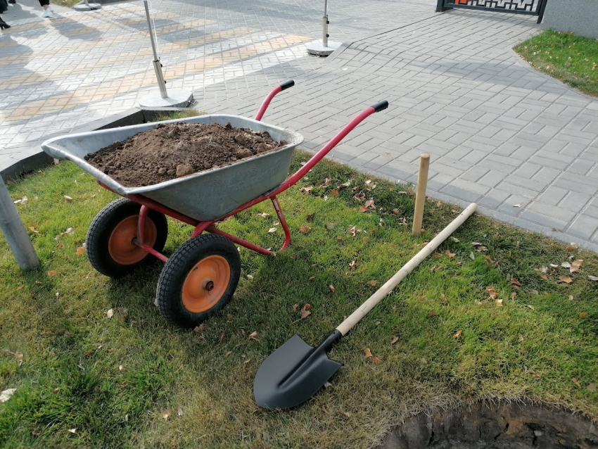 Дерзкие «художества» «Волгоградзеленхоза» почти на 30 миллионов вскрылись в суде