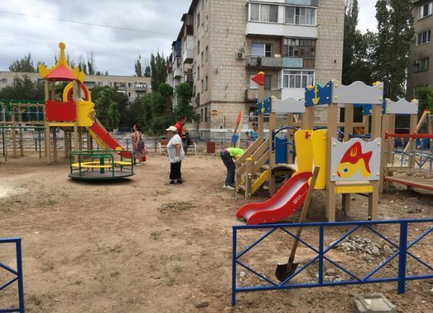 Во дворе на юге Волгограда посадят 50 деревьев из дендрария