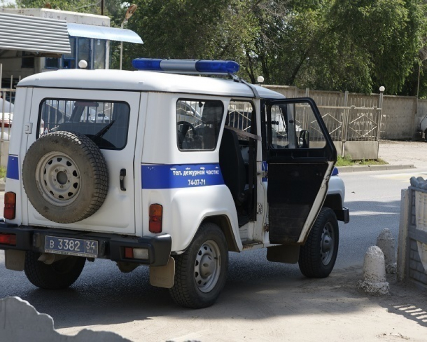 Полиция просит помощи в поисках двух пропавших волжанок