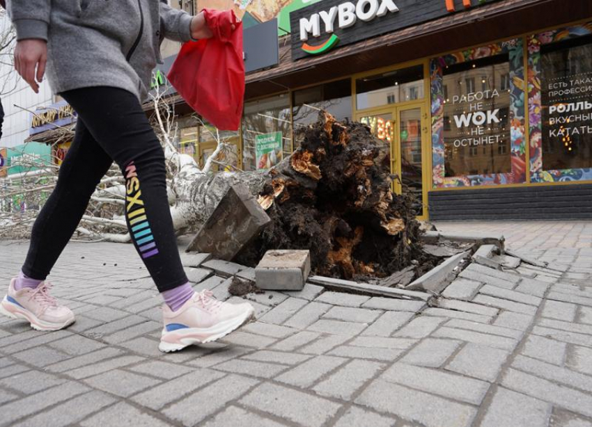 МЧС объявило экстренное предупреждение в Волгоградской области 