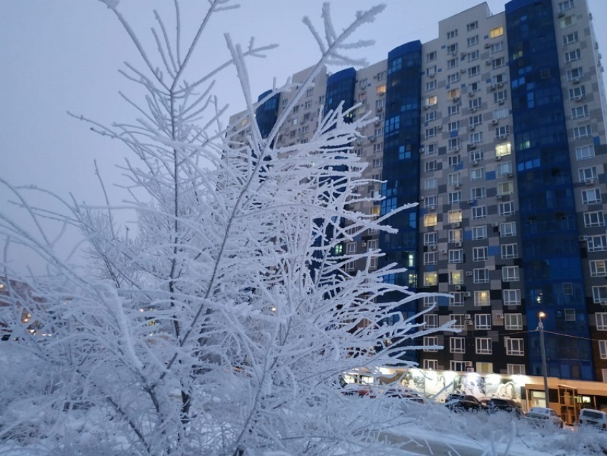 От 0 до -6ºС со снегом: погода в Волгограде развлекается как может