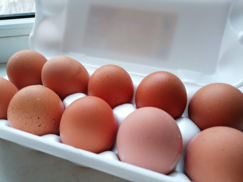 Странное снижение цен на яйца продолжилось в Волгограде