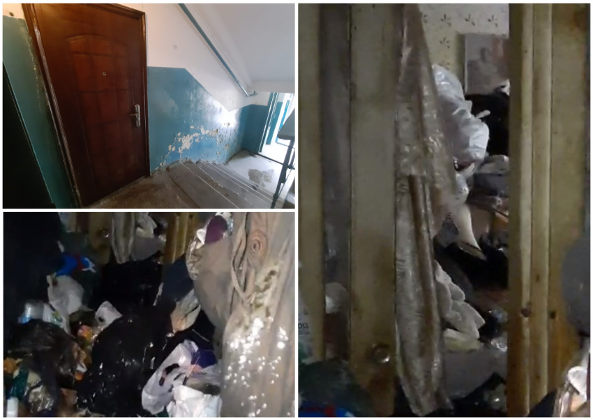 Трупы бомжей, фекальный бадминтон и гроздья тараканов: видео из треш-квартиры Волгограда