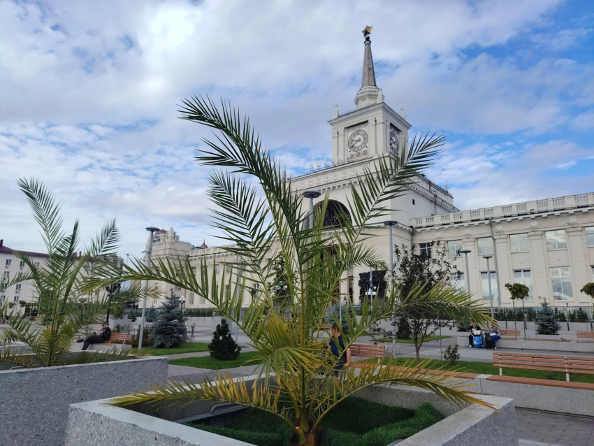 Эффективность и законность трат на озеленение проверят в Волгограде