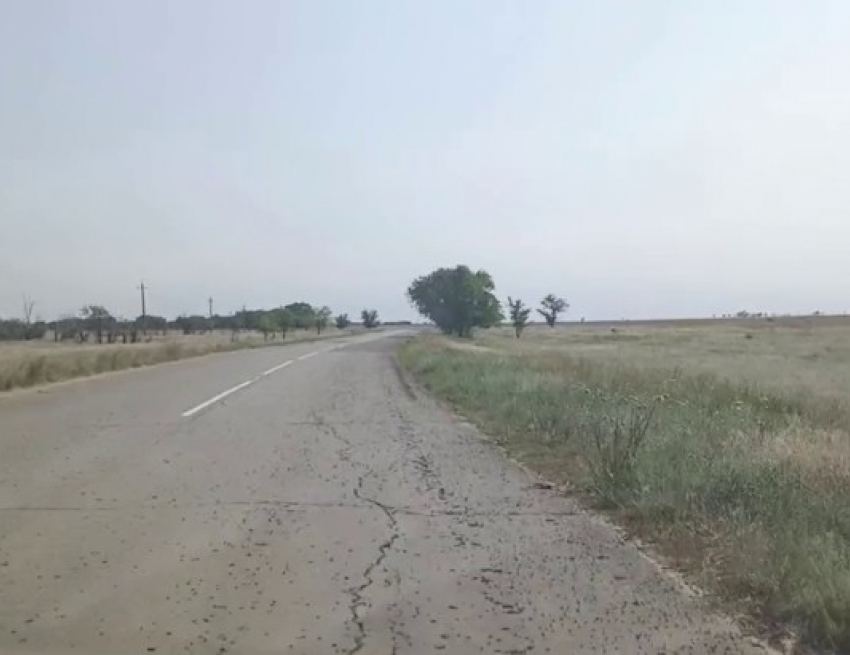 Черные тучи саранчи идут на огороды волгоградцев: видео