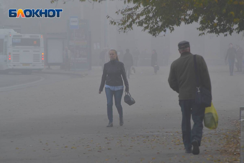 Ветер на грани штормового ожидается вечером 2 октября в Волгоградской области