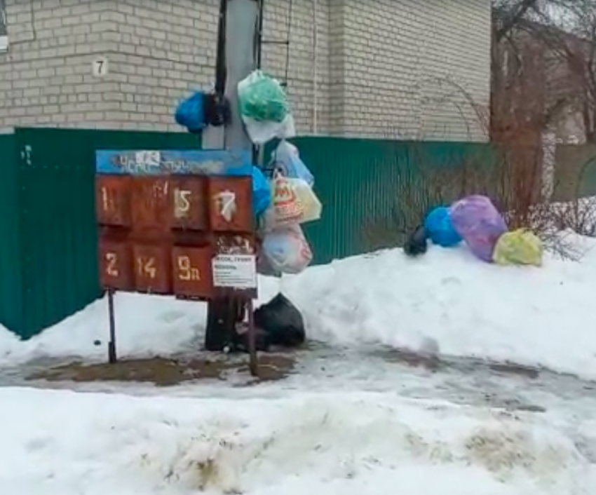 В Волгограде в частном секторе не вывозят мусор с прошлого года: видео 