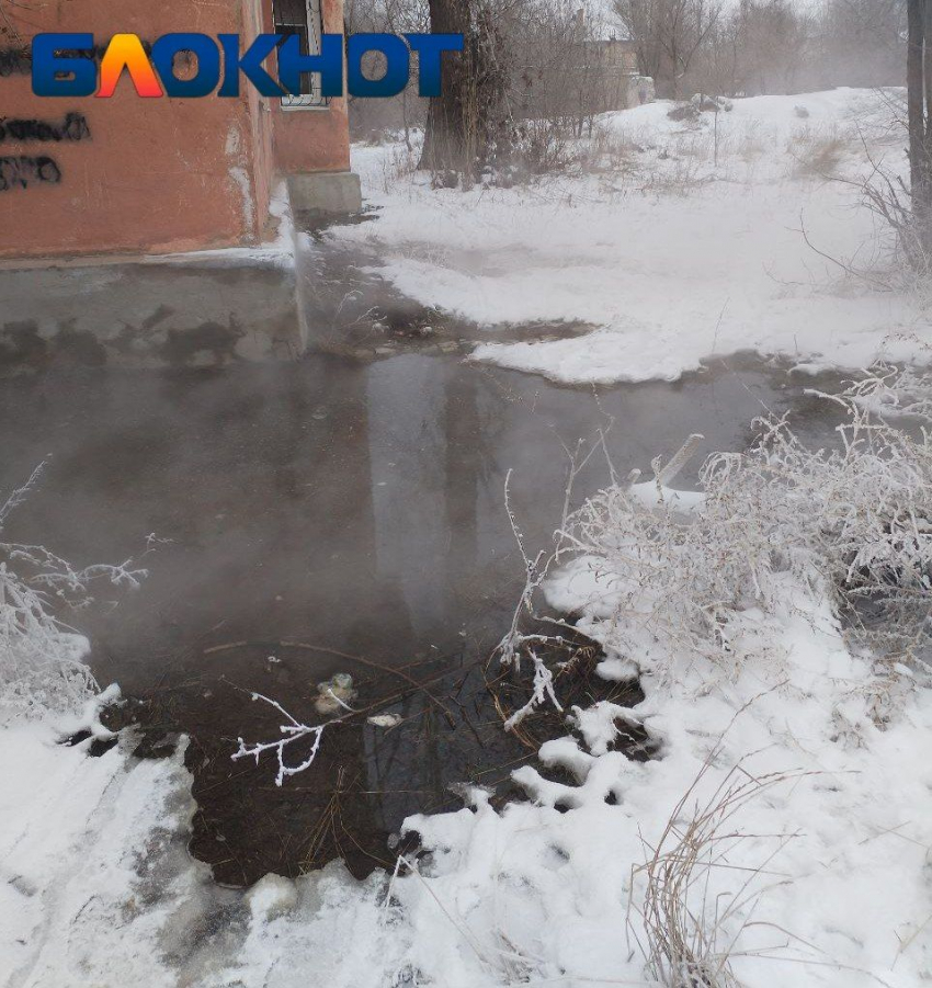 Узникам волгоградского дома ада объявили конец страданий