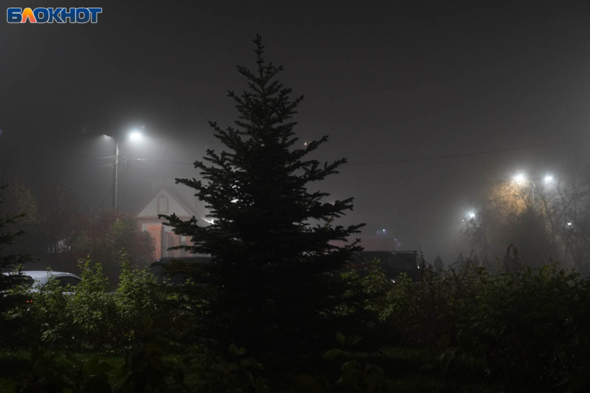  Туман и изморозь: погода на 8 декабря в Волгоградской области