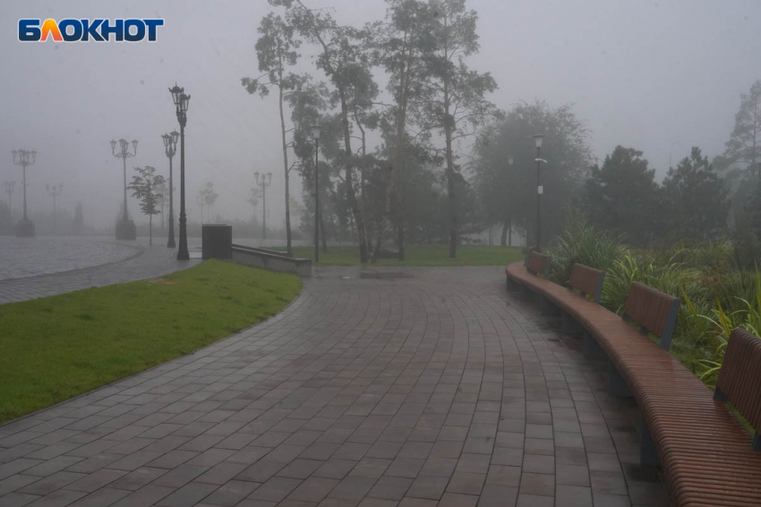 Пасмурная погода ждет волгоградцев 5 ноября