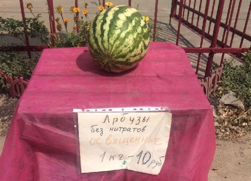 Освященные арбузы без нитратов предлагают приобрести в волгоградской церкви