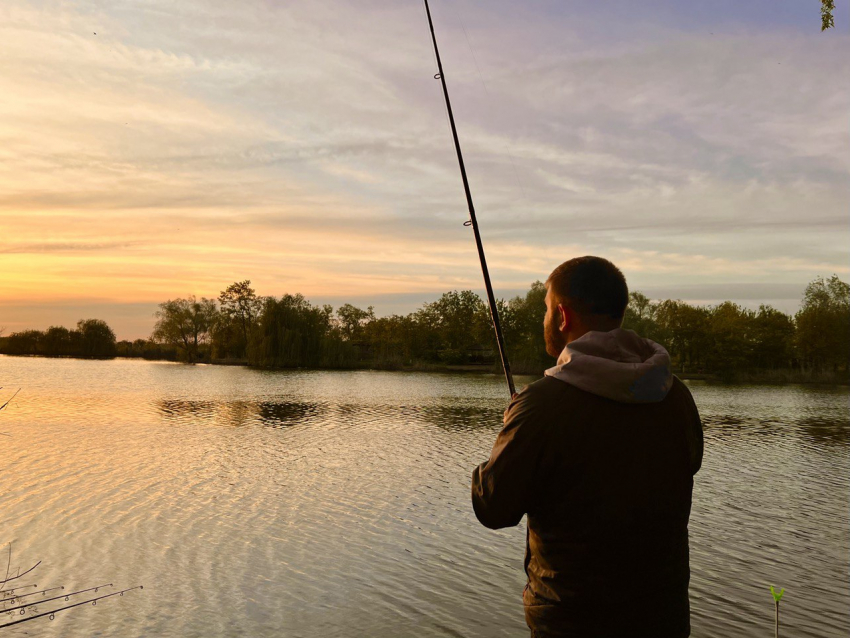 Вот моя деревня, вот мой дом родной: волгоградцы стали активнее в сети