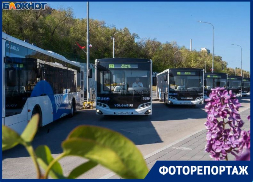 Пятнадцать новеньких автобусов выйдут на популярный маршрут №21 в Волгограде 