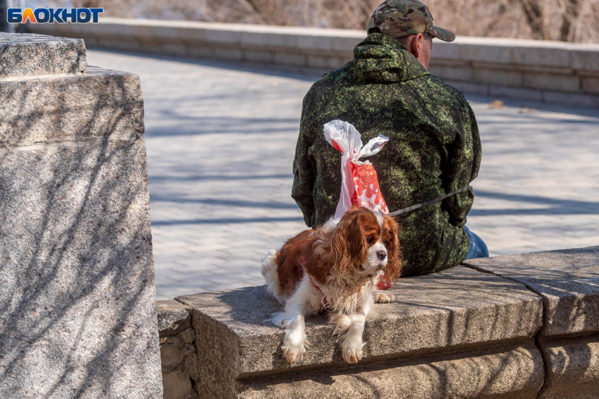 Единовременную денежную выплату до 30 июня получат волгоградцы