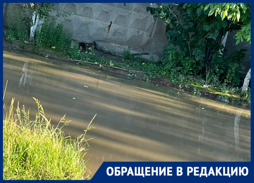 «Ждете, пока отравимся и сдохнем?»: фекальное ЧП сняли на видео в Волгограде