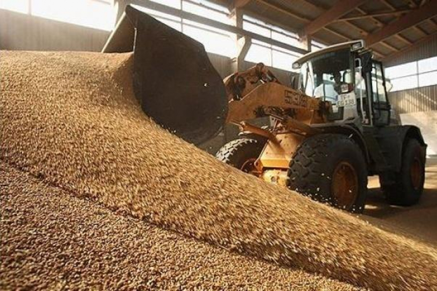 Под Волгоградом директор элеватора провернул аферу с пшеницей на 320 млн рублей