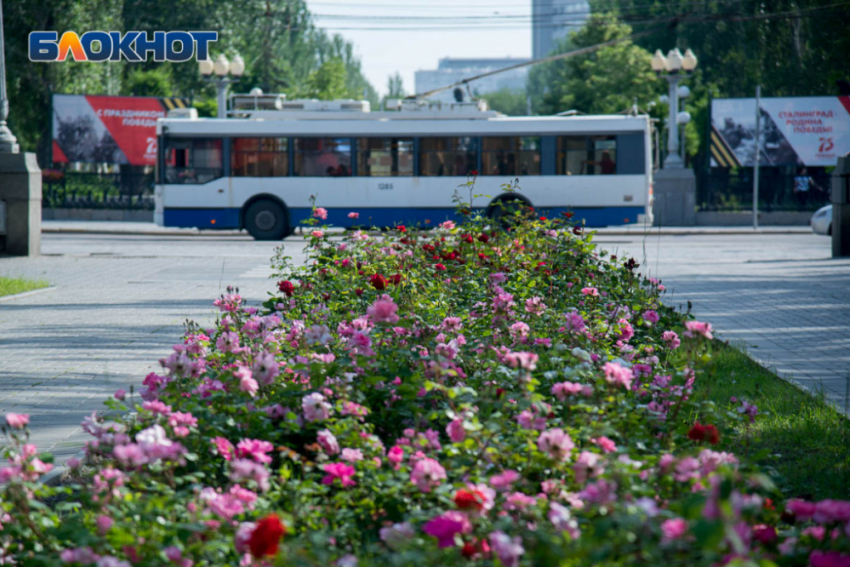 Троллейбус №15А пустят до Жилгородка в Волгограде 