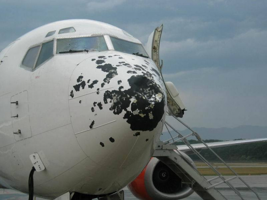 Мощный град повредил при посадке в Краснодаре самолет из Волгограда