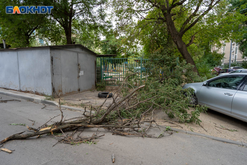 МЧС предупредило о шторме в Волгоградской области