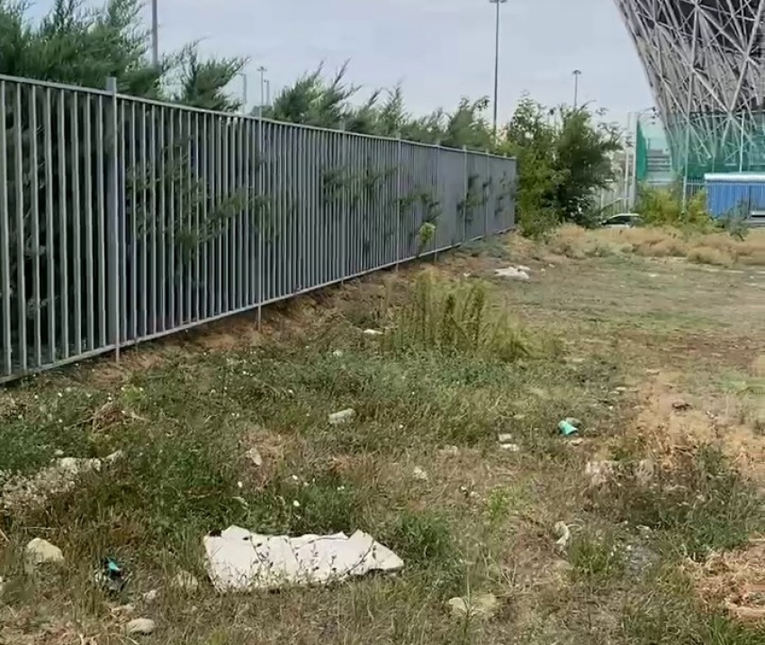 «Зона, которая нафиг никому не нужна»: городской позор найден рядом с «Волгоград Ареной»