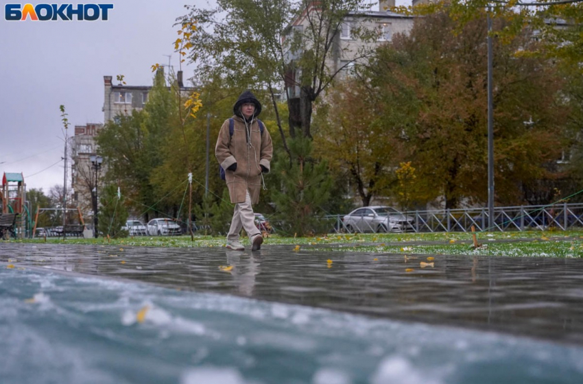Последнюю безморозную ночь пережил Волгоград: дальше холода