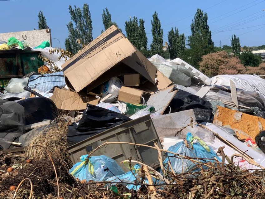 "Беременная ходила за мусоровозом, ругалась с ними": Волгоград продолжает утопать в мусоре