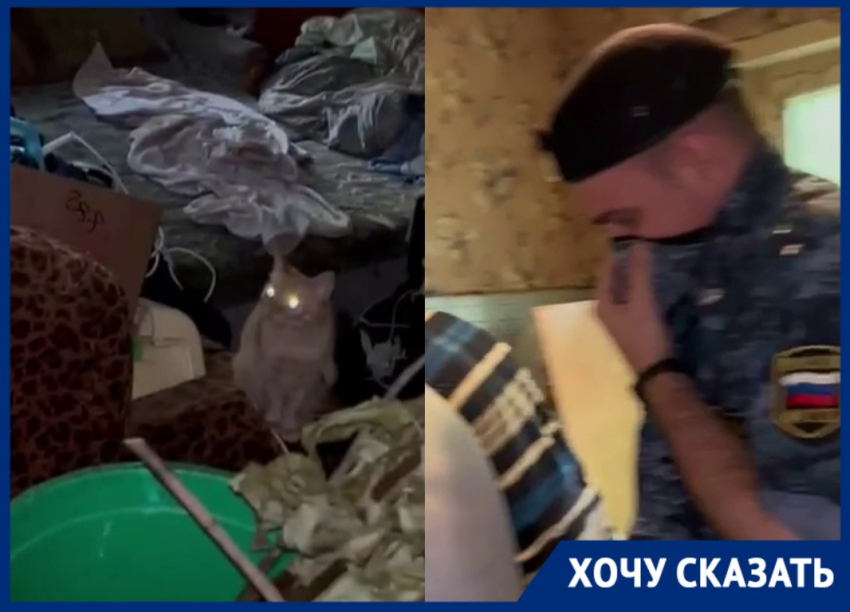 Жуткую квартиру-помойку сняли на видео в Волгограде: такого треша вы не видели